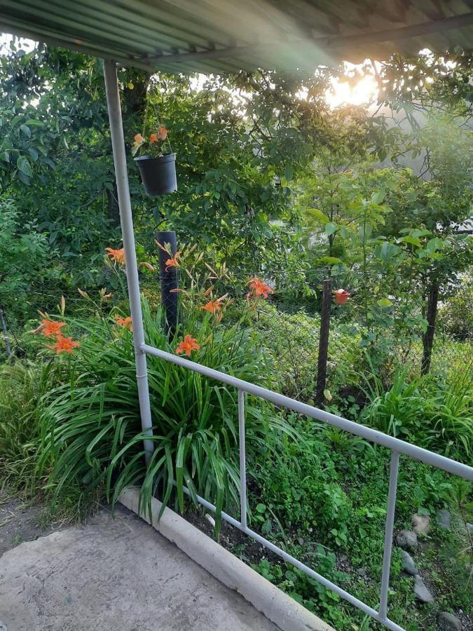 Family Hotell Dilijan Eksteriør bilde