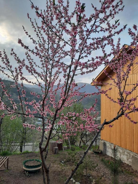 Family Hotell Dilijan Eksteriør bilde