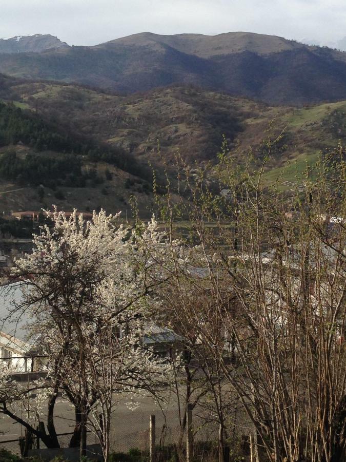 Family Hotell Dilijan Eksteriør bilde