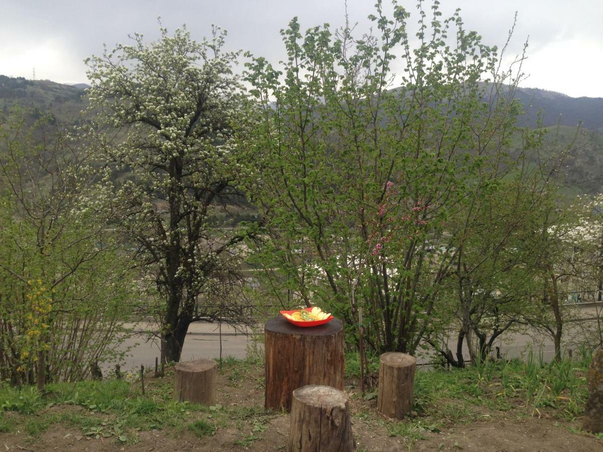 Family Hotell Dilijan Eksteriør bilde